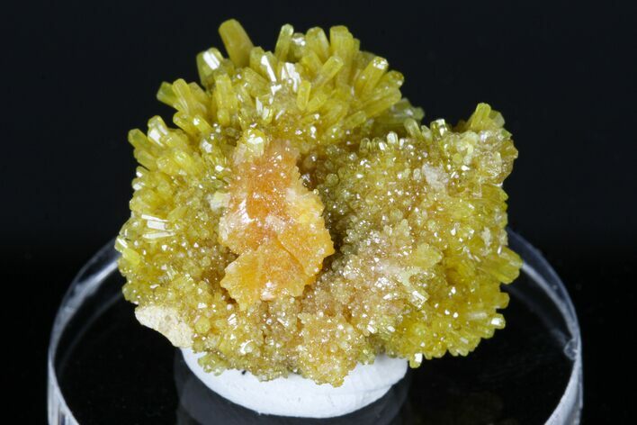 Yellow-Orange Pyromorphite Crystals - Bunker Hill Mine, Idaho #175883